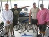 (05/31/2014) - Nice Striped Bass